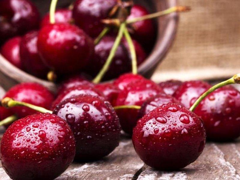 Вишня купить саженцы из питомника в Балаково